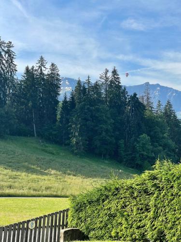 a hot air balloon flying over a field with trees at Marmotte du Jaillet Cosy and charmant appartement in Demi-Quartier