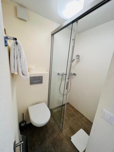 a bathroom with a toilet and a glass shower stall at Hotel Felmis in Luzern