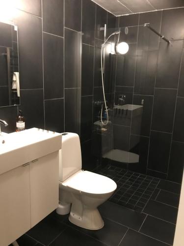 a bathroom with a toilet and a sink and a shower at 3-rumslägenhet i villa med havsutsikt i Båstad Hindbärsvägen 22 in Båstad