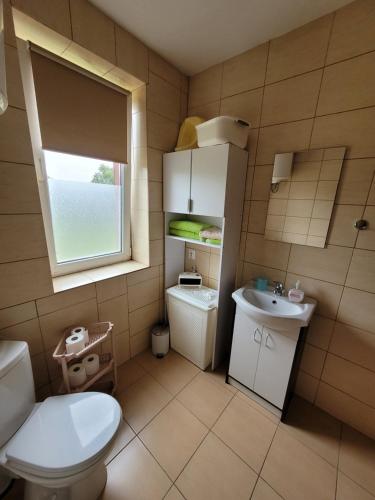 亞斯珊別茲魯伊的住宿－Wiejski Relax pod "Żelaznym szlakiem"，一间带卫生间和水槽的小浴室