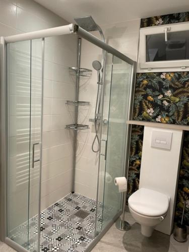 bagno con doccia in vetro e servizi igienici di Charmant Studio pouvant accueillir 4 personnes ad Anglet