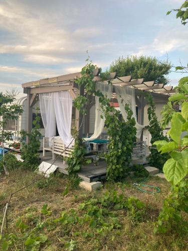 ein Haus mit einer Pergola und Reben in der Unterkunft Синеморец Каравана Paradise in Sinemorets