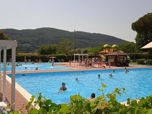 a group of people swimming in a swimming pool at Mobile home Comfort Ameglia - including airco - Camping River- 327 in Ameglia