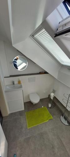a bathroom with a toilet and a sink and a skylight at Bruno's Ferienwohnung in Wendlingen am Neckar