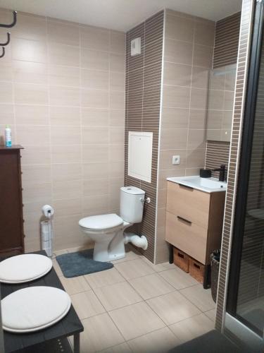 une salle de bain avec toilettes et lavabo dans l'établissement PATIO ARENA F2, à Bayonne