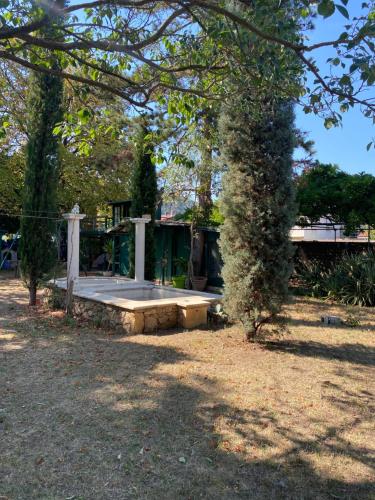 una casa con un árbol delante de ella en Chambres privées dans maison avec grand parc et piscine proche Via Rhona, en Andancette