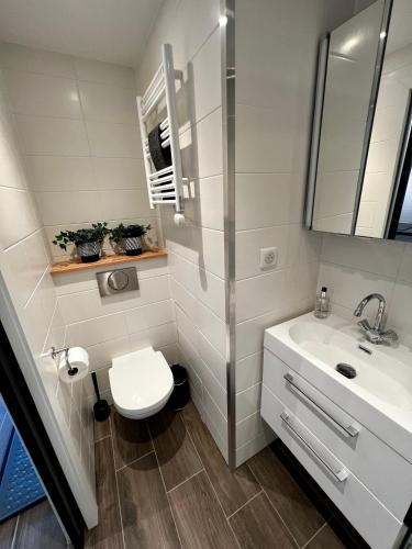 une salle de bain avec des toilettes blanches et un lavabo dans l'établissement Chez Naomi - Studio Mirjam, à Châtel
