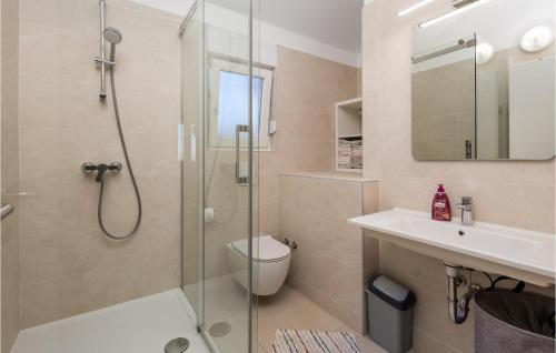 a bathroom with a shower and a toilet and a sink at Cozy Home In Marcelji With Jacuzzi in Marčelji