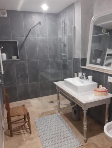 une salle de bain avec un lavabo et une douche dans l'établissement Charmant studio dans maison d'hôte dans un écrin de verdure, à Saint-Martin-le-Redon