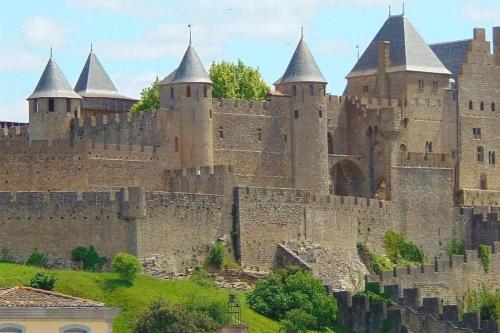 un grand château avec des tourelles sur une colline dans l'établissement Spacieux appartement au pied de la cité médiévale, à Carcassonne