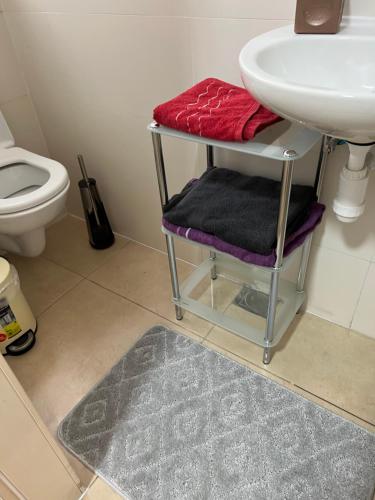 גיא ברוזמרין في إيلات: حمام مع حوض وحامل مناشف بجانب المرحاض
