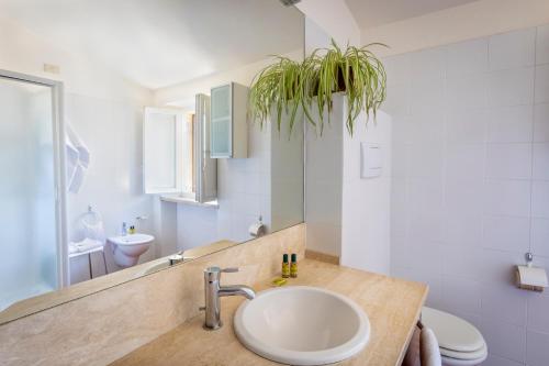 La salle de bains est pourvue d'un lavabo et d'une plante en pot. dans l'établissement CasaLeTolfe Residence, à Sienne