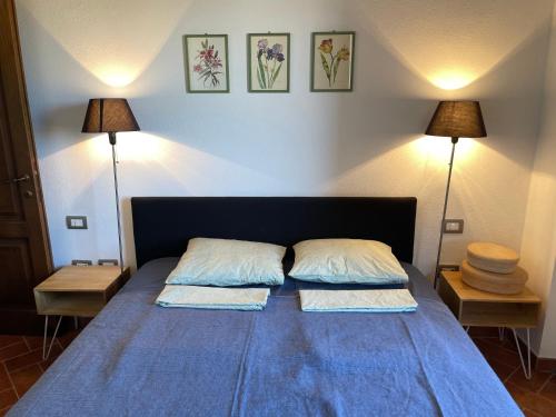 a bedroom with a blue bed with two pillows at Podere Le Volpaie - Arancia in Montecatini Val di Cecina
