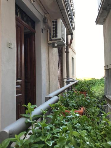 un mucchio di piante davanti a un edificio di Casa Josy a Francavilla di Sicilia