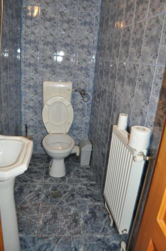 a bathroom with a toilet and a sink at Vila Pitty in Sinaia