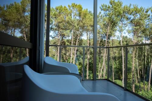 a room with a view of trees from a window at Buxus Hotel Shekvetili in Shekvetili