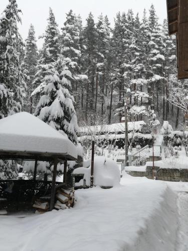 a yard covered in snow with trees in the background at Вила Добро поле in Blagoevgrad