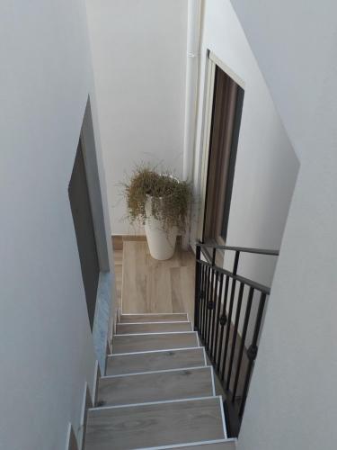a stairway with a potted plant and a plant at Casa Vacanze Fiore di Loto in Leporano