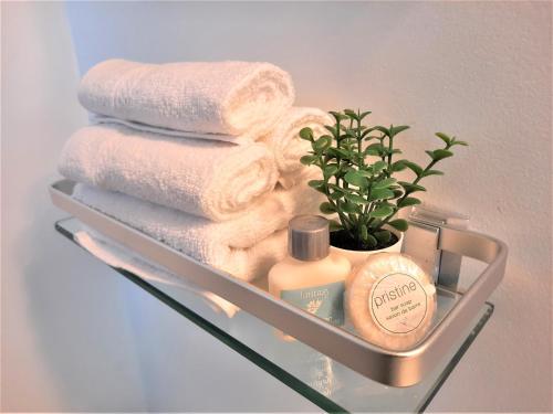 a shelf with towels and a plant on it at Luxury Home By North Glenmore Park in Calgary