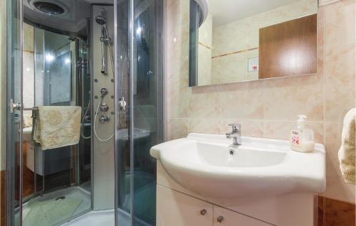 La salle de bains est pourvue d'un lavabo et d'une douche. dans l'établissement Nice Home In Porec With Wifi, à Poreč