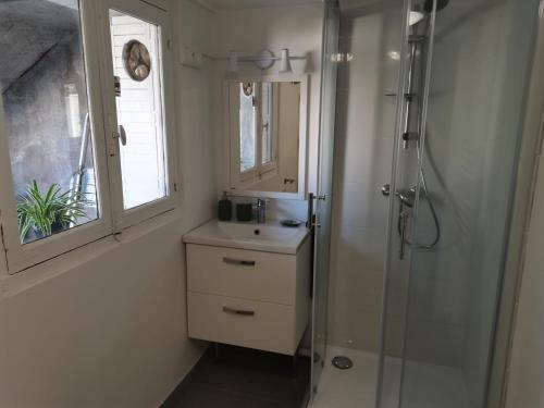 W łazience znajduje się prysznic, umywalka i lustro. w obiekcie Belle Maison 12p 6 couchages TOURS CENTRE avec jardin w Tours