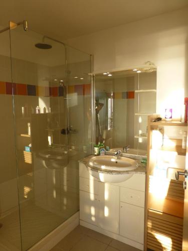 une salle de bain avec un lavabo et une douche en verre dans l'établissement Appartement 43 m2 front de mer 3 clés vacances, à La Tranche-sur-Mer