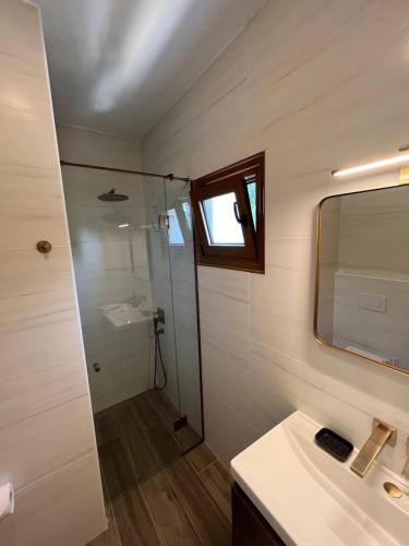 a bathroom with a shower and a sink and a mirror at Paralia Homes peaceful 2 bedroom, unit # 2 in Kriopigi