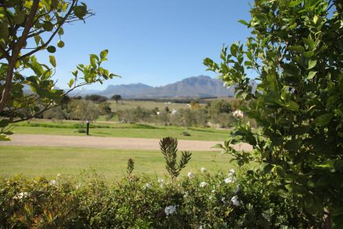a field of grass with mountains in the background at Wild Mushroom Country House in Stellenbosch