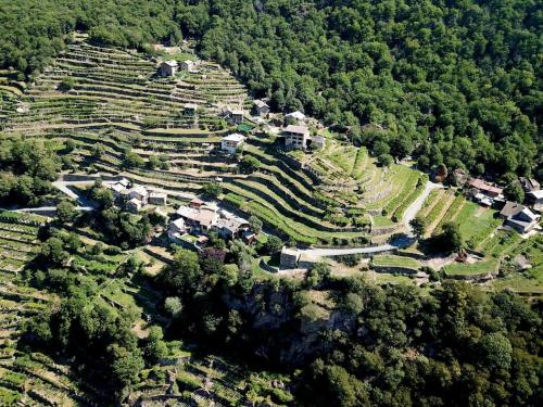 an aerial view of a village on a hill at B&B Al Vecchio Torchio in Settimo Vittone