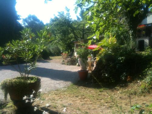 Taman di luar Mas De Peycavier