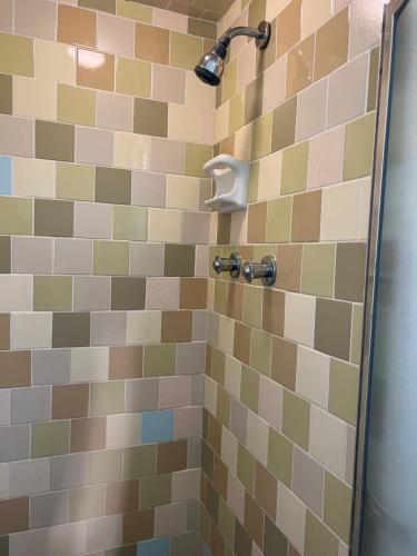 a shower with colorful tiles and a shower head at Driftwood Inn and Lodge by the lake in Zwolle