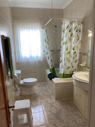 a bathroom with a toilet and a sink and a shower at Apartamento MAFASCA in Las Playas