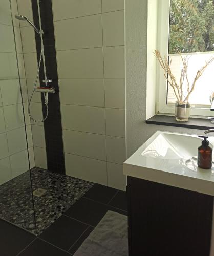 a bathroom with a shower and a sink at Ferienwohnung Villenviertel in Rudolstadt