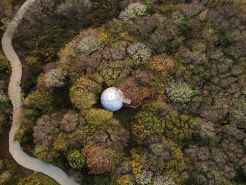 an overhead view of a forest with a white dome at Fernwood in Clifden