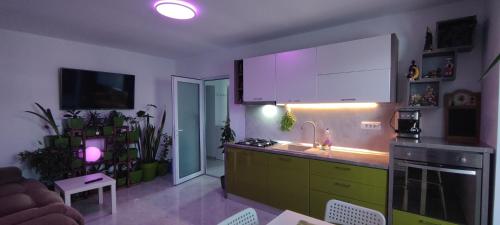 Köök või kööginurk majutusasutuses Abel Luxury Home