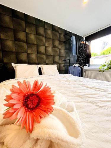 a flower on a white bed in a bedroom at Sfeervolle vakantiewoning aan zee in Ostend