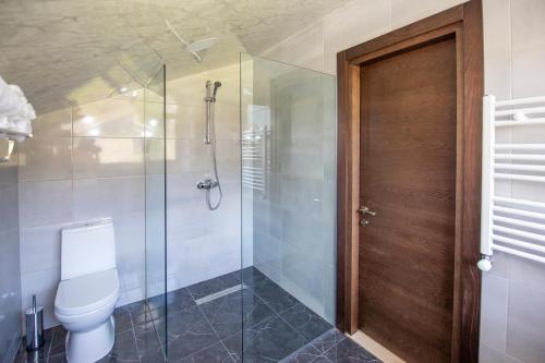 a bathroom with a toilet and a glass shower at Hotel GENI Kazbegi in Stepantsminda