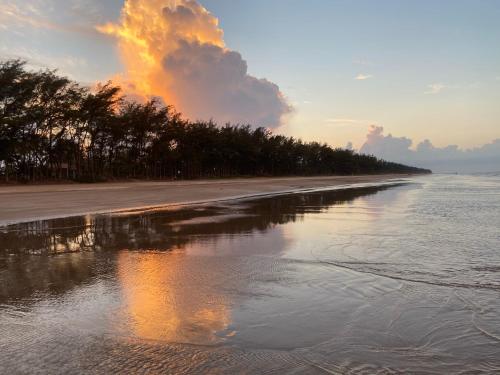 a view of a beach with trees and the water at Coconi House in Tuxpan de Rodríguez Cano