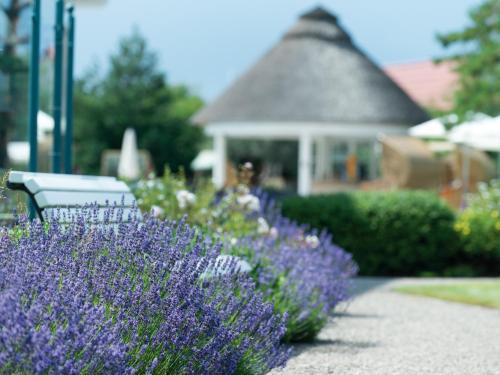 A-ROSA Ostseehotel Kühlungsborn photo 40
