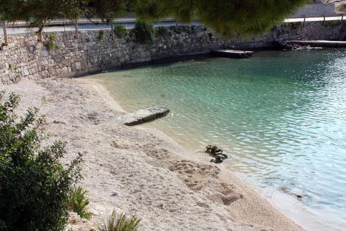 a dog standing on a beach in the water at Apartments by the sea Sumartin, Brac - 5615 in Sumartin