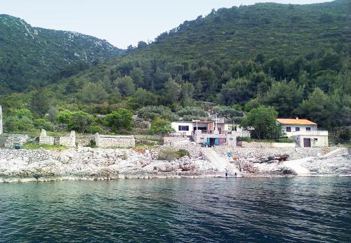 Gdinj的住宿－Seaside secluded apartments Cove Virak, Hvar - 6969，水体岸边的一群房子