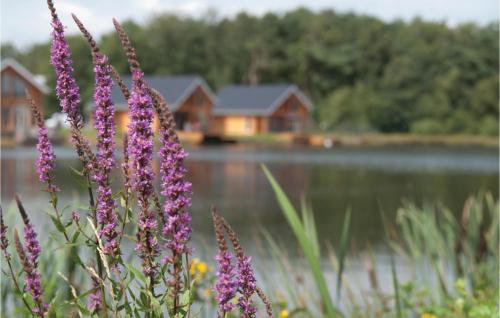 a bunch of purple flowers in front of a lake at Stunning Home In Heel With Lake View in Heel