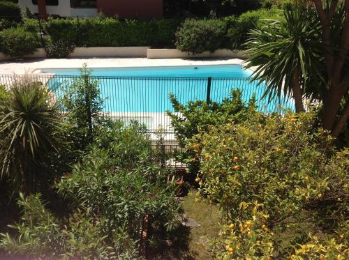 Vista de la piscina de Les Jardins du Cap o alrededores