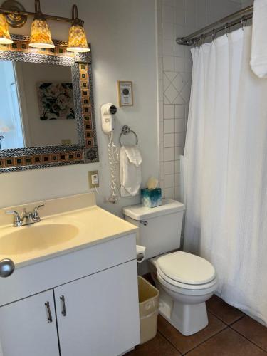 La salle de bains est pourvue de toilettes, d'un lavabo et d'un miroir. dans l'établissement Canyon Rose Suites, à Bisbee