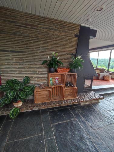 Taman di luar Villa Viveye