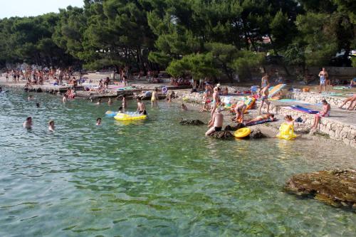 Fotografie z fotogalerie ubytování Apartments by the sea Tribunj, Vodice - 16516 v destinaci Tribunj