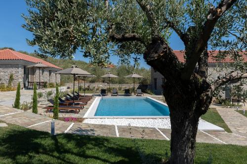 Gallery image of Lichnos Luxury Suites in Soúrpi