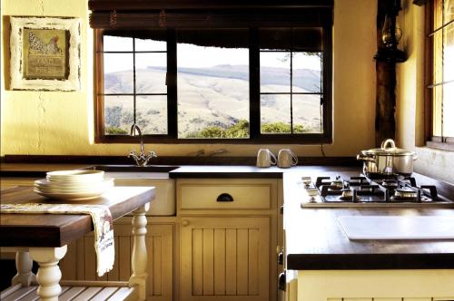 a kitchen with a stove top oven next to a window at Caracal Lodge in Alkmaar