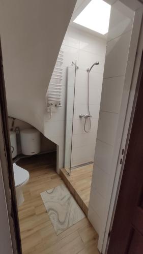 Koupelna v ubytování Pokoje 2-osobowe z prywatną łazienką i kuchnią