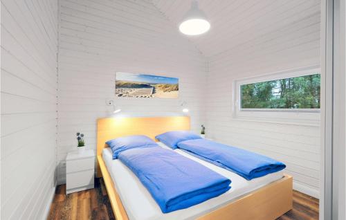 a white bedroom with a bed with blue pillows at 3 Bedroom Stunning Home In Krems Ii-warderbrck in Göls